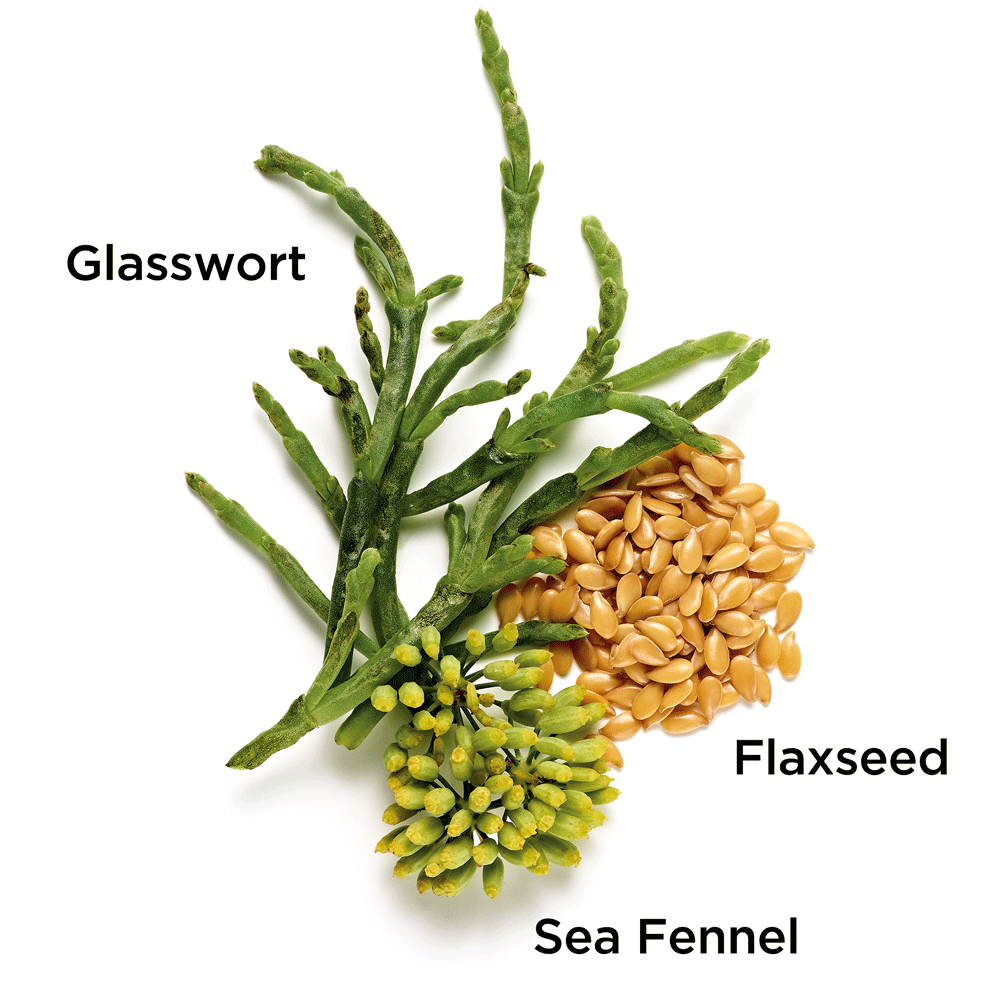 Elizabeth Arden Superstart Skin Renewal Booster 50 ml