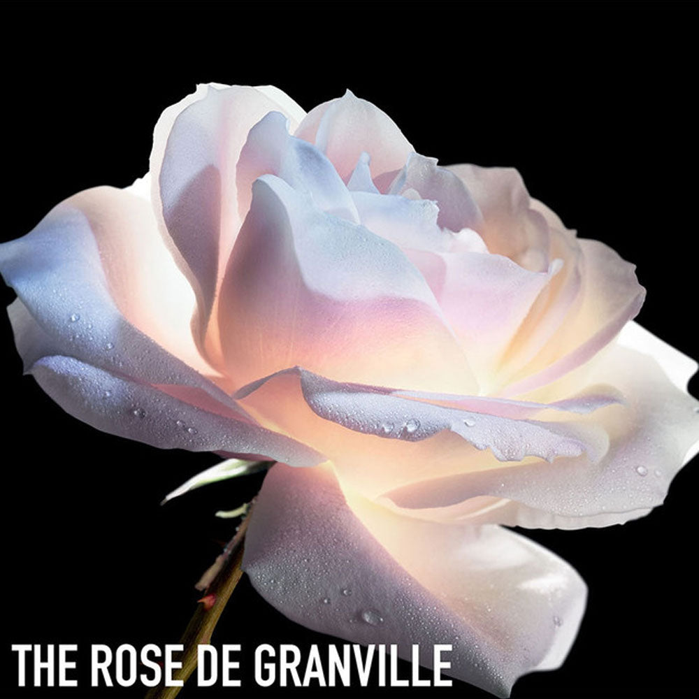 DIOR Prestige La Micro-Huile de Rose Advanced Serum 50ml