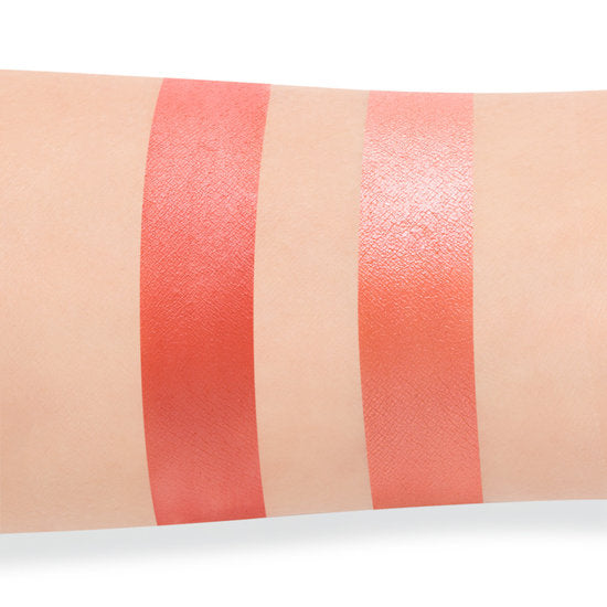 COVER | FX Monochromatic Blush Duo Spiced Cinnamon