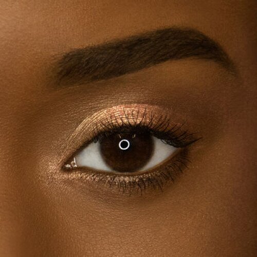 tarte Chrome Paint Shadow Pot - Frose